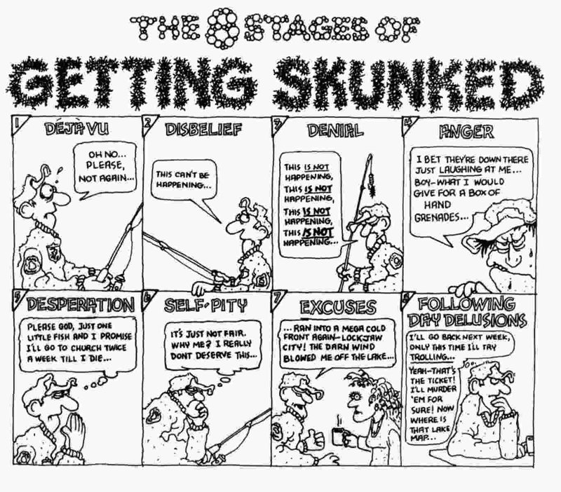 8 Stages of Getting Skunked.JPG